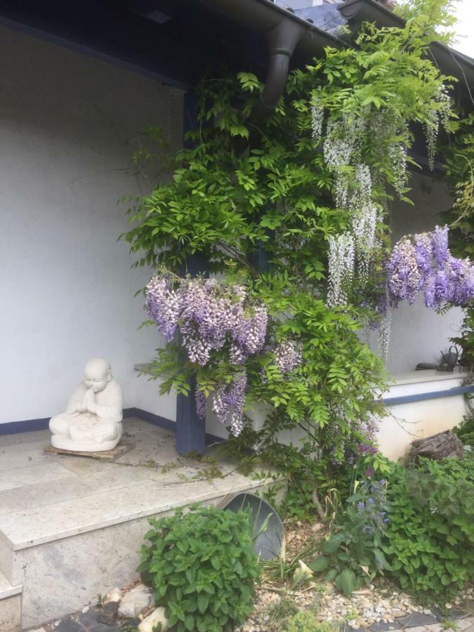 Gaensebluemchen 1 Apartment Daisy 1 Walsdorf  ภายนอก รูปภาพ